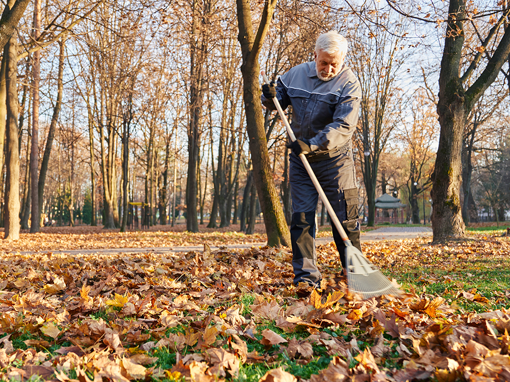 Spring Yard Clean Up In The Berkshires, Fall Yard Clean Up In The Berkshires, Spring Yard Clean Up In Great Barrington MA, Fall Yard Clean Up In Great Barrington MA
