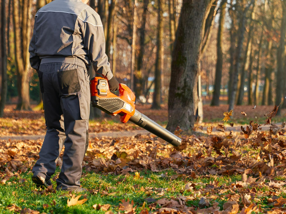 Spring Yard Clean Up In The Berkshires, Fall Yard Clean Up In The Berkshires, Spring Yard Clean Up In Great Barrington MA, Fall Yard Clean Up In Great Barrington MA